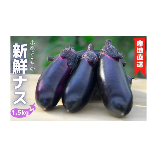 容量1.5kg消費期限発送から7日発送期日決済から14日前後で発送 ※10月上旬〜6月下旬の間のお届けとなります。配送常温 別送申込期日通年事業者小原　隆人申込条件何度も申し込み可