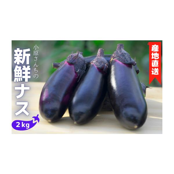 容量2kg消費期限発送から7日発送期日決済から14日前後で発送 ※10月上旬〜6月下旬の間のお届けとなります。配送常温 別送申込期日通年事業者小原　隆人申込条件何度も申し込み可