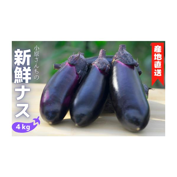 容量4kg消費期限発送から7日発送期日決済から14日前後で発送 ※10月上旬〜6月下旬の間のお届けとなります。配送常温 別送申込期日通年事業者小原　隆人申込条件何度も申し込み可