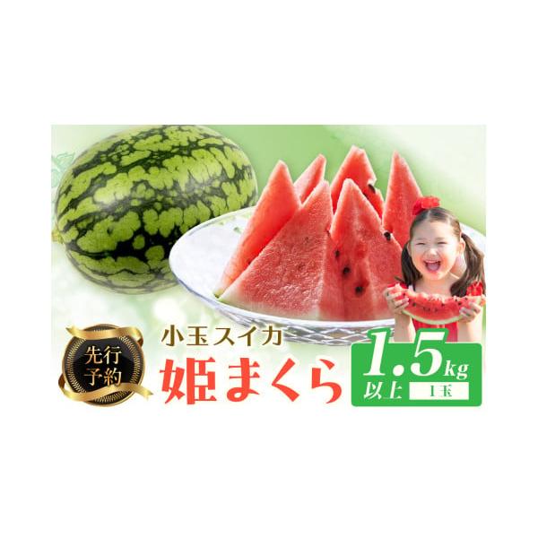 容量1玉（1.5kg以上）消費期限【賞味期限】お早めにお召し上がりください。発送期日【配送可能期間】2026年7月上旬〜※天候や生育状況により変動する場合がごさいます。【配送不可地域】北海道、沖縄、一部離島配送冷蔵 時間指定 別送申込期日期...