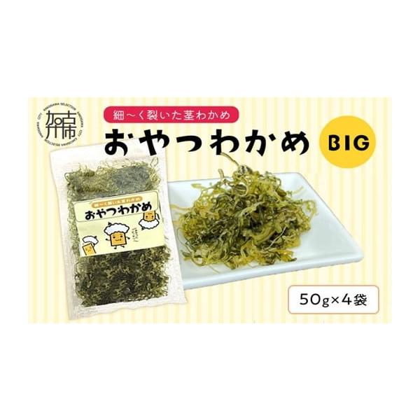 容量200g(50g×4)消費期限【賞味期限】製造日より180日発送期日入金確認後、1ヶ月ほどで発送予定(年末年始を除く)配送常温 別送事業者前島食品株式会社申込条件何度も申し込み可