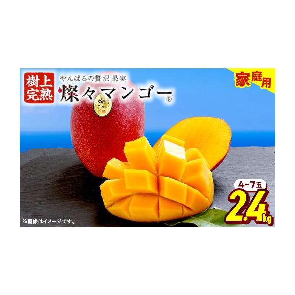 ふるさと納税 マンゴー 沖縄県 国頭村 2027年7月から順次発送・家庭用