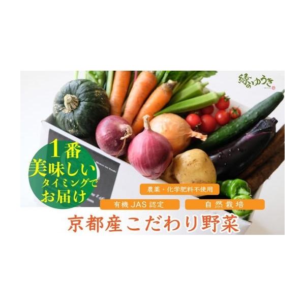 容量野菜の詰め合わせ（6品〜）少量セット（お一人暮らしや少食の方におすすめ）※野菜の種類・量は時期により異なります。有機JAS認定、自然栽培、栽培期間中農薬・化学肥料不使用などの野菜セット【セット例】夏：なす、万願寺とうがらし、おくら、まく...