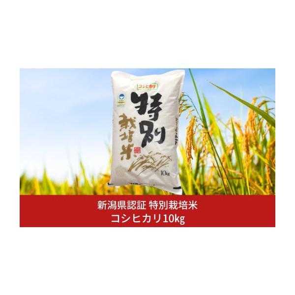 ふるさと納税 米 コシヒカリ 新潟県 三条市 特別栽培米 コシヒカリ10kg