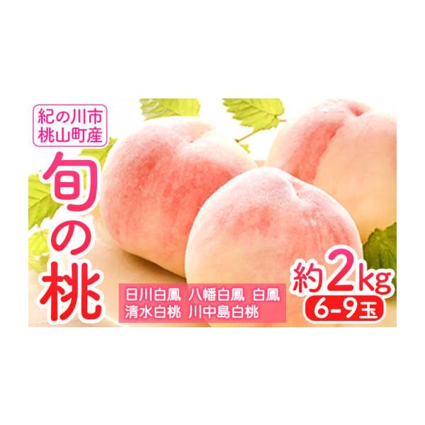 容量約2kg(6-9玉)消費期限冷暗所で風通し位の良い所に保管頂き、お早めにお召し上がりください。発送期日2026年6月末頃-8月末頃出荷配送冷蔵 時間指定 別送申込期日7月末頃まで（予定数量に達し次第終了）事業者岸武青果株式会社申込条件何...
