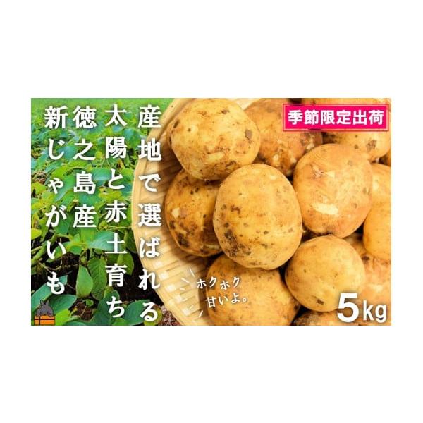 容量【内容】徳之島産じゃがいも（バレイショ）（5kg）※画像はイメージです。消費期限※冷暗所で約1ヵ月。※じゃがいもは紫外線などに弱い野菜のため、到着後は室温暗所にて保管をお願い致します。発送期日2026年2月〜4月中旬頃配送致します。※常...