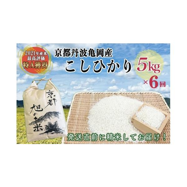ふるさと納税 米 コシヒカリ 京都府 亀岡市 令和8年産 定期便 5kg 6回