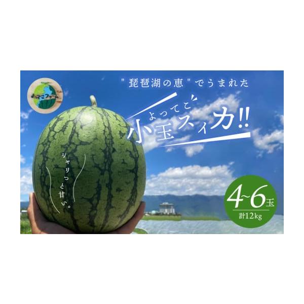 容量1箱4〜6玉（1玉2kg前後 計12kg）消費期限発送から7日間発送期日2026年6月〜8月初旬ごろの発送配送常温 時間指定 別送申込期日2026年8月5日まで事業者よってこファーム申込条件何度も申し込み可