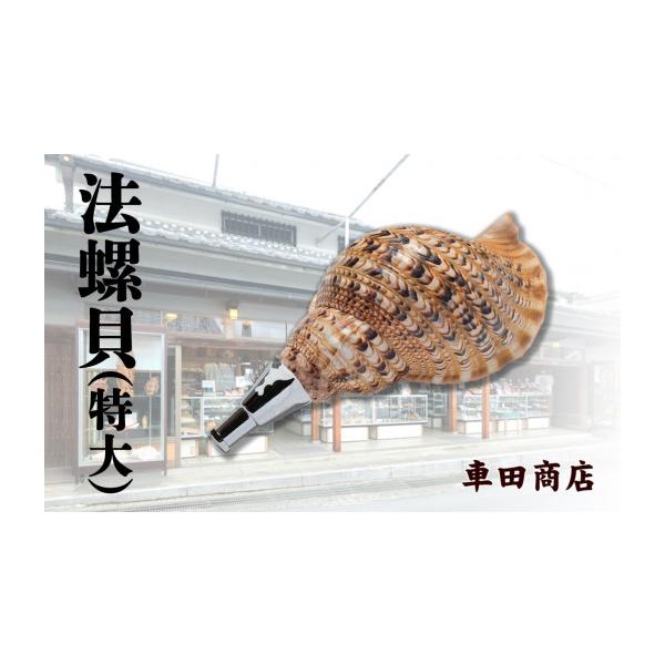 ふるさと納税 民芸品・工芸品 奈良県 吉野町 楽器 法螺貝 特大 奈良県