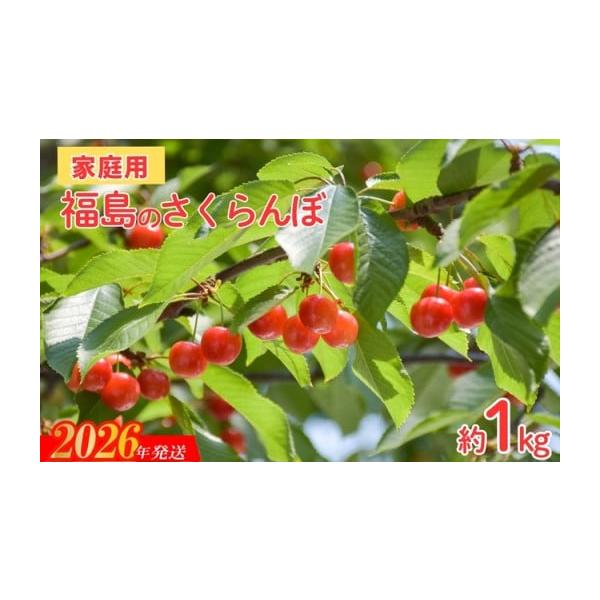 容量商品詳細へ記載消費期限発送日+3日発送期日6月上旬から7月上旬発送予定配送冷蔵 時間指定 別送事業者株式会社幸青果申込条件何度も申し込み可、オンライン決済限定