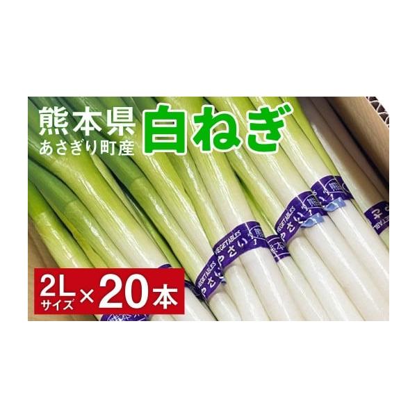 容量2Lサイズ×20本発送期日2026年8月下旬より順次発送配送冷蔵 時間指定 別送申込期日通年申込条件何度も申し込み可