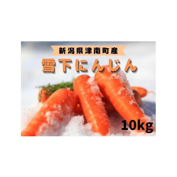 容量10kg消費期限10日【※冷蔵での保管をおすすめいたします。】発送期日2026年3月より順次発送します。配送冷蔵 時間指定 別送申込期日?2026年5月11日まで事業者株式会社 中島利七 津南営業所申込条件何度も申し込み可