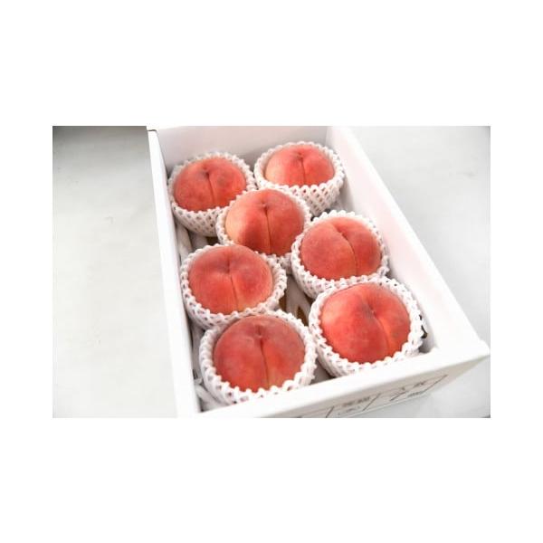 容量秀：2kg(大玉)6〜8玉前後　消費期限1週間程度発送期日2026年8月下旬〜9月中旬頃まで配送冷蔵 のし 時間指定 別送申込期日2026年8月30日まで事業者山形eLab申込条件何度も申し込み可