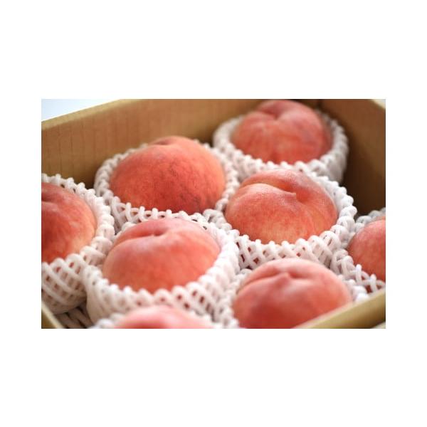 容量秀：2kg(大玉)6〜8玉前後　消費期限1週間程度発送期日2026年8月中旬〜9月中旬頃まで配送冷蔵 のし 時間指定 別送申込期日2026年8月30日まで事業者山形eLab申込条件何度も申し込み可