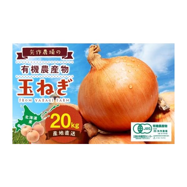 容量20kg（混み玉：M〜L大主流）発送期日9月上旬〜随時発送配送別送申込期日令和8年11月下旬まで事業者(有)矢作農場申込条件何度も申し込み可