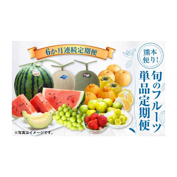ふるさと納税 スイカ 熊本県 - 6か月連続定期便 熊本便り 旬のフルーツ単品定期便 ｜ くだもの 果物 フルーツ 旬 いちご 柑橘 みかん デコポン メロン すいか…