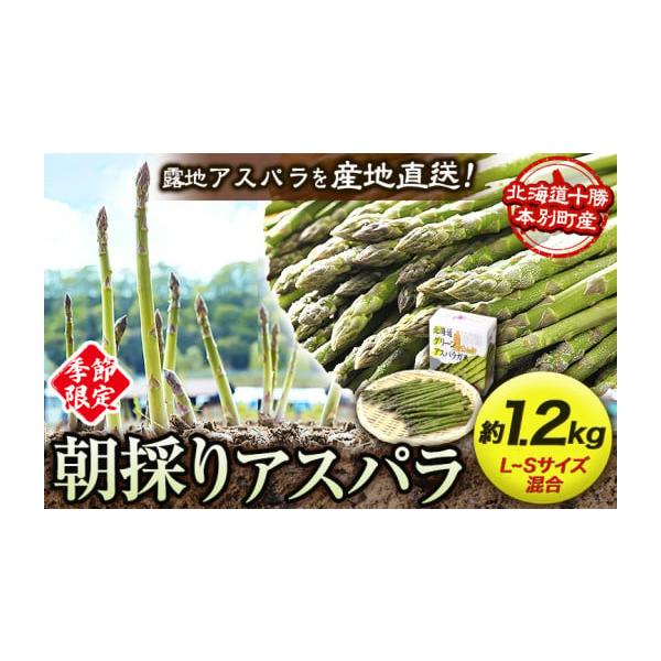 容量約1.2kg※L~Sサイズ混合(サイズ指定は承っておりません)発送期日5月中旬-6月中旬頃出荷配送冷蔵 時間指定 別送申込条件何度も申し込み可