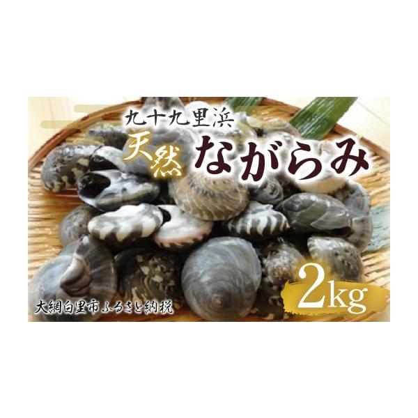 ふるさと納税 千葉県 大網白里市 九十九里浜　天然ながらみ　2kg【名産】 ふるさと納税 ながらみ ...