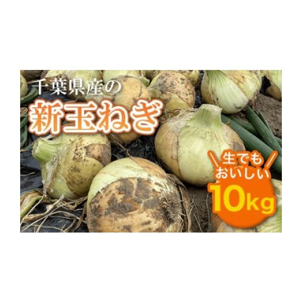容量たまねぎ　10kg消費期限【賞味期限】発送日から30日発送期日令和8年5月上旬から順次発送予定※野菜のため収穫状況により前後する可能性あり・北海道・沖縄・離島への配送は不可です。配送常温 別送申込期日2026年5月24日まで事業者斉藤畜...