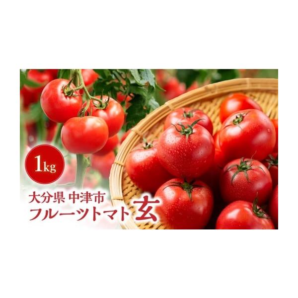 ふるさと納税 トマト ミニトマト 大分県 中津市 期間限定 フルーツ