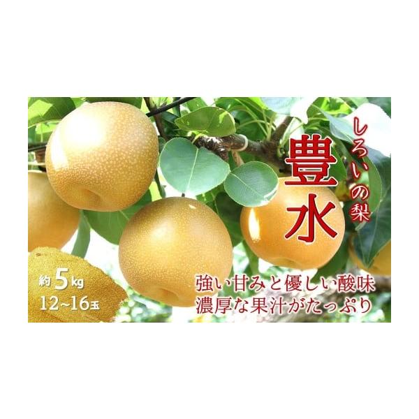 容量5kg（12~16玉）発送期日2026年8月下旬から9月上旬の間に順次発送いたします。※配送期日（曜日）指定はできませんのでご了承ください。※発送時期は、例年の発送時期になっております。天候や収穫状況によりお届けが遅れたり、早まる場合が...