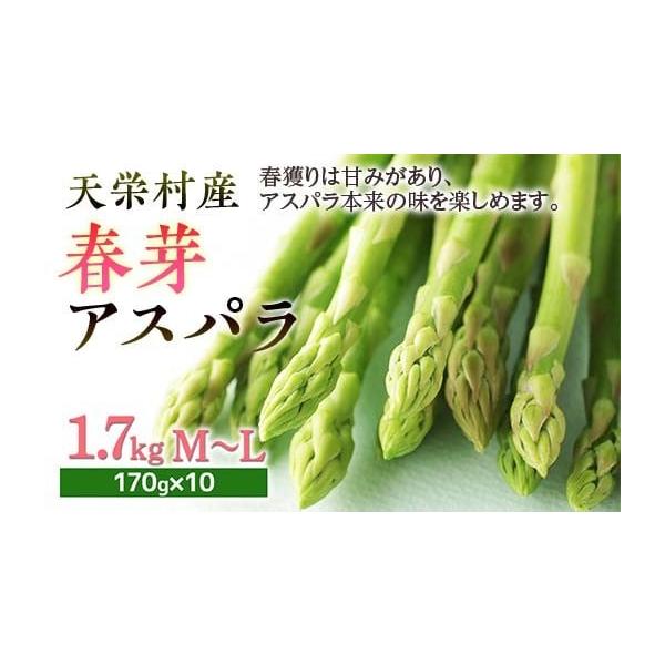 容量春芽アスパラM〜Lサイズ 約1.7kg （170g×10束）発送期日2026年5月上旬 〜 2026年6月上旬配送冷蔵 時間指定 別送申込期日2026年4月30日まで事業者瀬和 正義申込条件何度も申し込み可