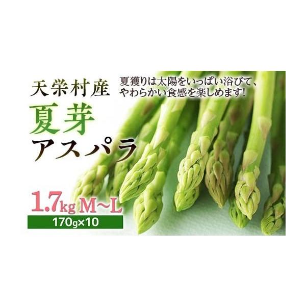容量夏芽アスパラM〜Lサイズ 約1.7kg　(170g×10束)発送期日2026年7月上旬 〜 2026年9月上旬配送冷蔵 時間指定 別送申込期日2026年5月15日まで事業者瀬和 正義申込条件何度も申し込み可