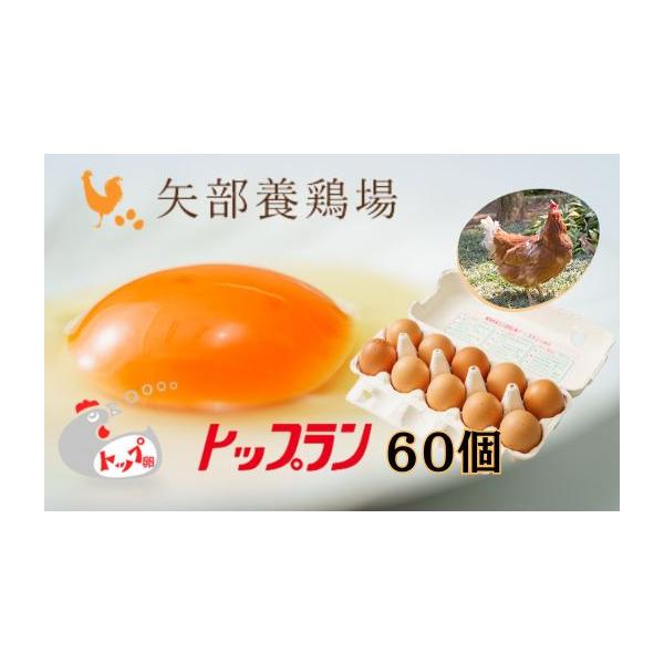 ふるさと納税 卵（鶏、烏骨鶏等） 埼玉県 川島町 矢部養鶏場のたまご こだわりのブランドたまご トップラン60個（10個パック×6）お取り寄せ 新鮮 ニワトリ …