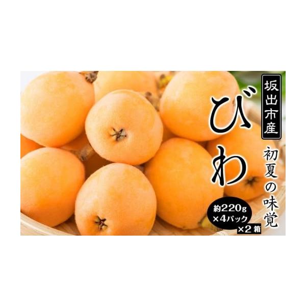 容量約220g×4パック入りを2箱消費期限生ものですので、お早めにお召し上がり下さい。発送期日2026年5月中旬〜2026年6月下旬【沖縄県配送不可】配送冷蔵 時間指定 別送申込期日〜2026年6月10日事業者株式会社五色青果申込条件何度も...