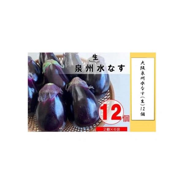 容量【2026年発送】大阪泉州（貝塚市）産水なす（生）２個×６袋（鮮度保持袋入り）1個当たり約200g※農作物につき、多少大きさに違いがあります発送期日【2026年発送・予約品】4月初旬ごろ〜順次発送開始（予定）※天候などの影響や育成具合に...