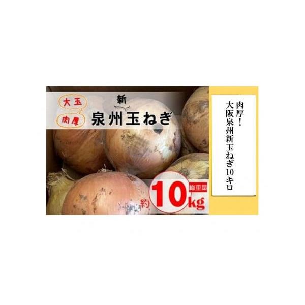 容量【2026年発送】大阪泉州産（貝塚市産）新玉ねぎ大玉10kg（1玉 約280g）※農作物につき、多少大きさに違いがあります発送期日【2026年発送・予約品】4月初旬ごろ〜順次発送開始（予定）※天候などの影響や育成具合により、出荷がずれる...