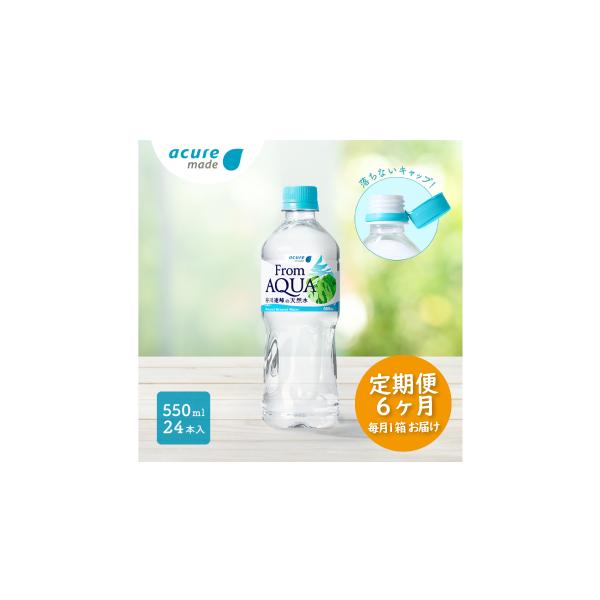 ふるさと納税 水・ミネラルウォーター 500mL〜999mL 群馬県 みなかみ町
