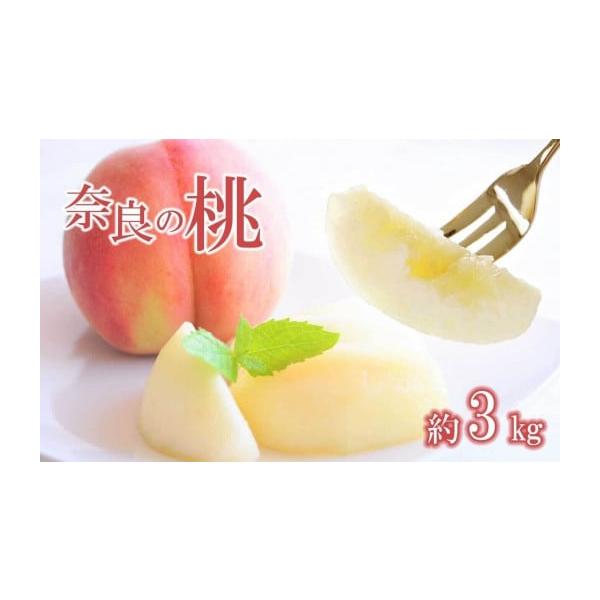 容量約3kg消費期限早めにお召し上がりください発送期日2026年7月上旬〜8月上旬頃に順次発送予定配送冷蔵 時間指定 別送申込期日2026年07月20日事業者福西農園申込条件何度も申し込み可