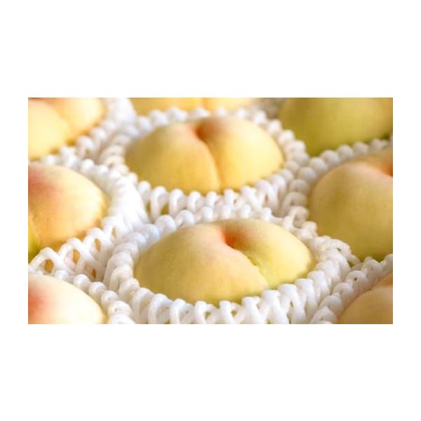 容量約2kg（6〜8玉）消費期限風通しの良い涼しい部屋において追熟させてください。また、袋に入れて冷蔵庫で保存すると熟度は遅くなりますが長く保存できます。発送期日2026年7月上旬〜7月下旬まで順次発送予定※天候や発送状況により多少前後する...