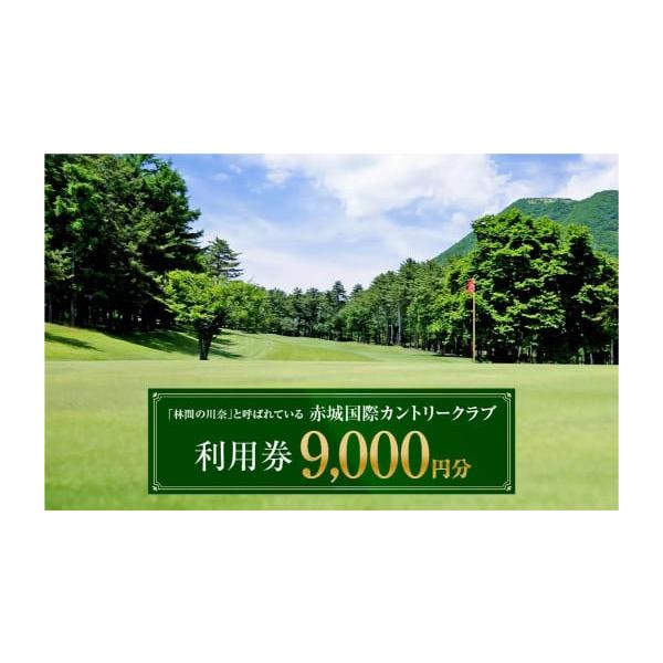 容量利用券　3,000円券×3枚消費期限発行日より１年間有効発送期日入金確認から30日以内に発送。配送別送申込期日通年寄附を受け付けております事業者株式会社　赤城国際カントリークラブ申込条件何度も申し込み可