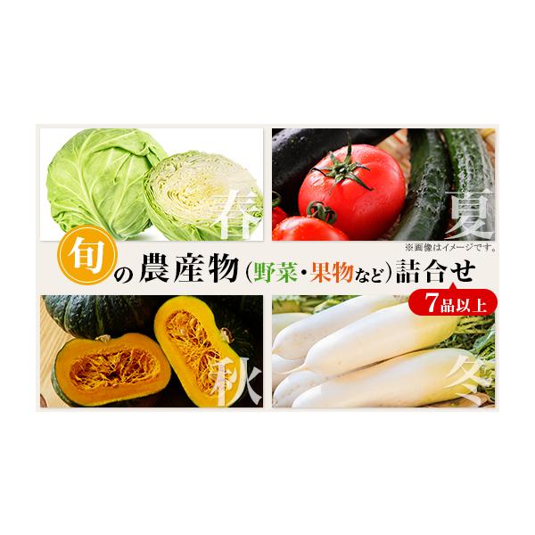 容量井原市の旬で新鮮な野菜等を「おまかせで合計7品目以上」※季節によって中身が異なります。※野菜を中心にお届けいたしますが、果物、卵、ジャムやお餅等の加工品が入る場合がございます。※記載は一例となりますので、記載に無い品が入る可能性がござい...