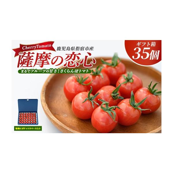ふるさと納税 トマト ミニトマト 鹿児島県 指宿市 2026年12月上旬