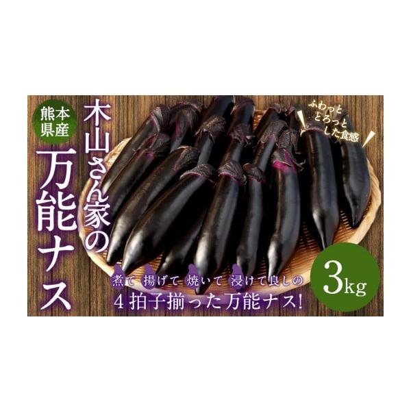容量3kg消費期限７日発送期日寄附確認後、30営業日以内に発送予定年末年始（12月・1月）は寄附確認後、60営業日以内に発送予定※天候や発送状況により多少前後する場合がございますので、予めご了承ください。配送冷蔵 時間指定 別送申込期日通年...