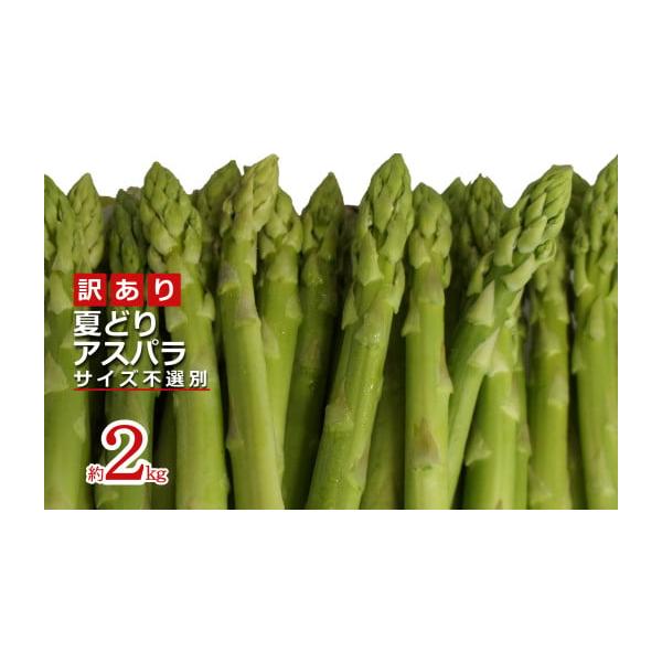 容量S〜2Lサイズ・2kg消費期限発送日から5日程度発送期日2026年07月中旬頃〜08月末頃にかけて、寄付受付順に発送配送冷蔵 時間指定 別送申込期日2026年08月20日頃事業者長井中央青果申込条件何度も申し込み可