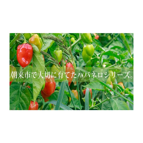 容量■お礼品の内容について・レッドハバネロパウダー[100g×1]　　原産地:兵庫県朝来市／製造地:兵庫県朝来市／加工地:兵庫県朝来市消費期限■消費期限:加工後から冷暗所にて6カ月発送期日入金確認後順次発送※配送日の指定、北海道・沖縄・離島...