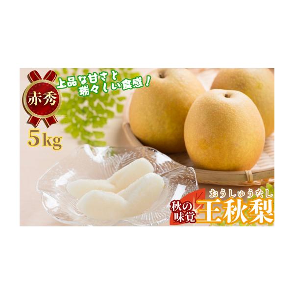 容量〔等級〕赤秀　〔容量〕5〜8玉／5kg消費期限発送日から1か月半発送期日2026年10月下旬から順次発送配送常温 時間指定 別送申込期日10月25日【数量限定】上限に到達次第、受付終了となります。事業者JA鳥取いなば営農部果実園芸課 0...