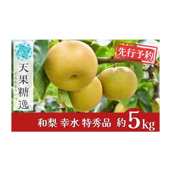 容量約5kg(10~18玉前後）※生育状況により、個数が前後する場合がございます。消費期限発送日から5日間発送期日8月下旬〜9月上旬頃※天候や生育状況により、発送開始・終了時期が前後する場合がございます。※お申込み順に発送いたしますので、配...