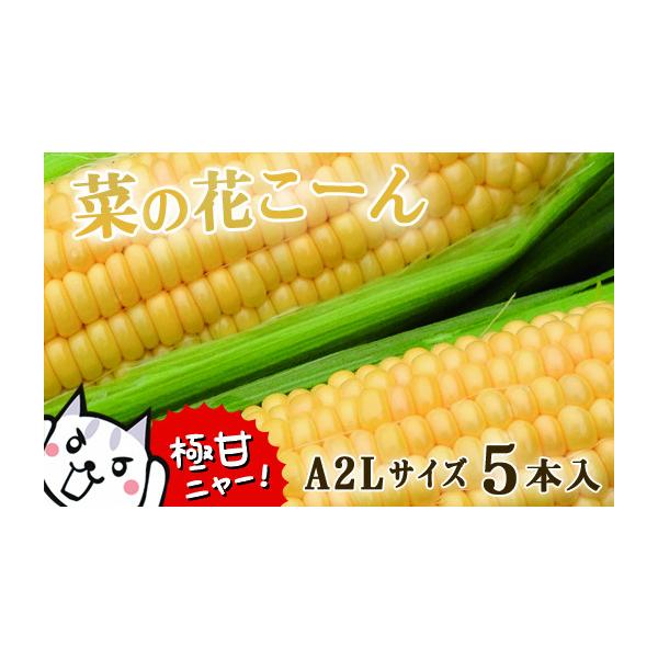 ふるさと納税 とうもろこし 岩手県 一関市 甘い 菜の花こーん 2026年