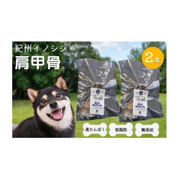 容量紀州イノシシ肩甲骨　2本原材料：イノシシ肩甲骨消費期限賞味期限：180日発送期日ご入金確認後、２週間以内に発送。※年末年始、GW、お盆の期間中は、納期が１ヵ月以上かかる場合がございます。※繁忙期は、出荷が遅くなる場合がございます。予めご...