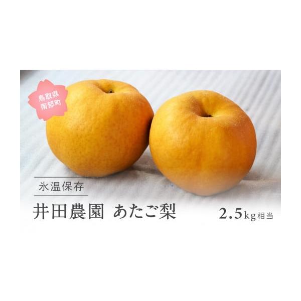 容量2.5kg（2玉）発送期日2026年1月※具体的な出荷日程の事前のご案内はできかねます。予めご了承ください。受取不可の日程がありましたら、備考欄にご記入ください。※年始の配送対応はできかねます。配送常温 時間指定 別送申込期日2026年...