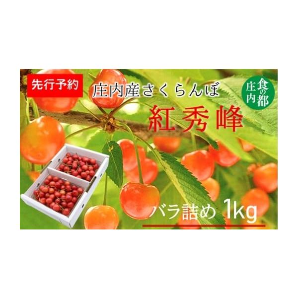 容量さくらんぼ品種：紅秀峰2L・Lサイズ1kgバラ詰め（500g×2パック）※写真はイメージです。※さくらんぼの色づきは気象条件により大幅に変わることもございます。消費期限※到着後、お早めにお召し上がりください。（要冷蔵）発送期日【先行予約...