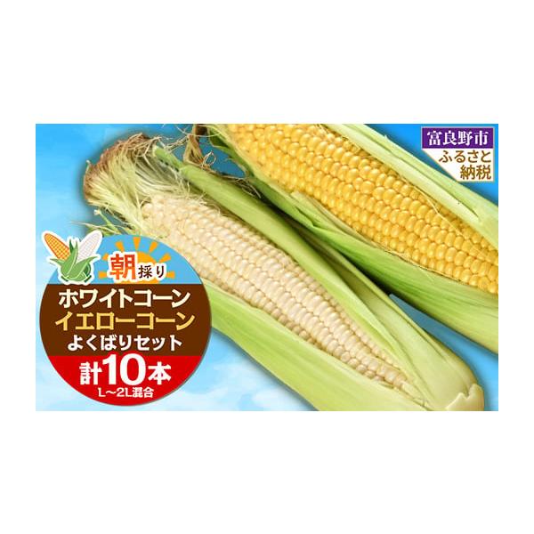 容量■お礼品の内容について・ホワイト／イエローコーン詰め合わせ[10本]原産地:北海道富良野市山部■原材料・成分原産地:北海道富良野市山部品名:富良野産ホワイトコーン／イエローコーン詰め合わせ等級:秀品栽培方法:ハウス栽培内容量:10本　L...