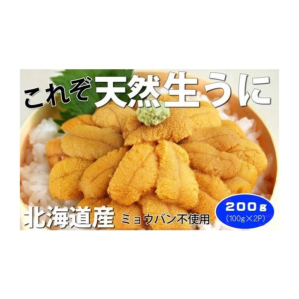 ふるさと納税 ウニ 北海道 寿都町 無添加 北海道産天然塩水うに100g×2p （YS032）