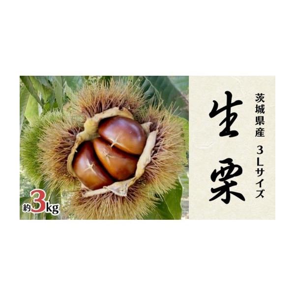 容量3Lサイズ以上 約3kg消費期限到着後、お早めにお召し上がりください発送期日入金確認後、2026年10月中旬よりお申込み順に発送※目安となる例年の発送時期です。天候や発育により変動する場合もございます。配送冷蔵 別送申込期日2026年1...