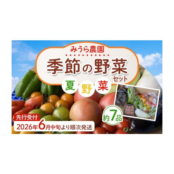 容量旬の夏野菜7品角田市産家族経営商品発送期日6月中旬〜7上旬※生育状況により変更になる場合がございます。配送常温 時間指定 別送申込期日〜2026年6月15日事業者みうら農園申込条件何度も申し込み可、オンライン決済限定